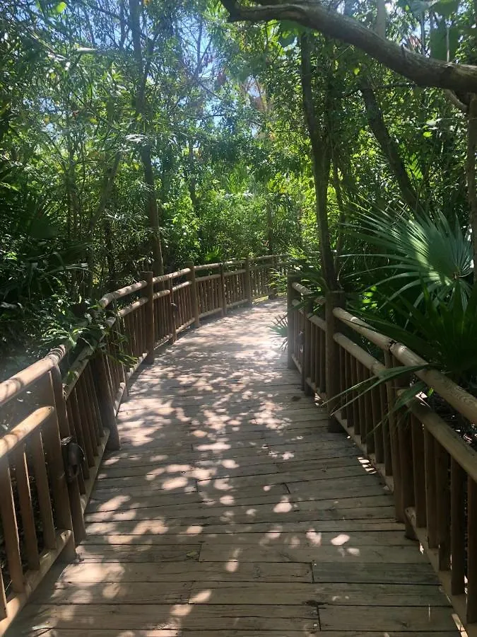 Resort Grand Mayan At Riviera Maya Playa del Carmen